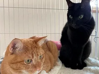 独占欲が強いのか