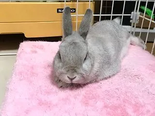 だんだんと