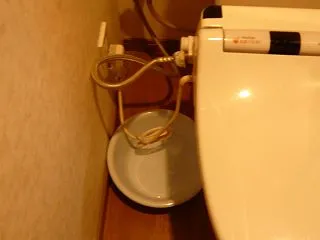ウォシュレットを自力で交換してみました