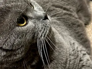 本試験まで12日〜本試験は模試のように＆…