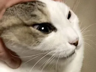 夢への軌跡_なんとか車椅子でお通じもあり…