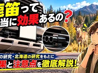 鹿笛は本当に効果ある？世界の論文と北海道…