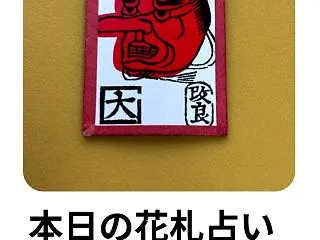 本日の花札占い