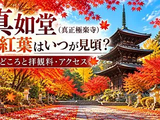 真如堂（真正極楽寺）の紅葉はいつが見頃？…