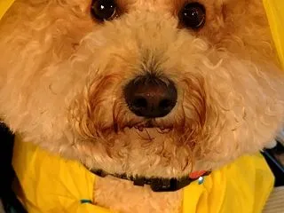 朝から雨でも合間に