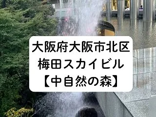 【梅田スカイビル】中自然の森に人工滝(噴…