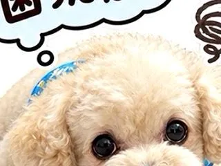 要求の止まらない義母