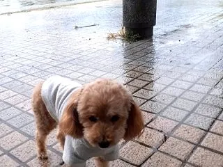 名古屋つれづれ余