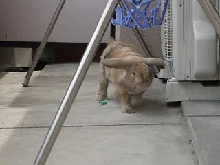 思い出 走り込み①