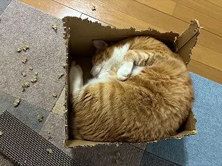 ポジティブな人の考え方／家呑み