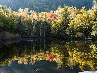 乗鞍高原 紅葉山歩
