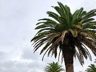 大原御宿お誘いラウンド回想R31