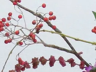 愛情が足りない
