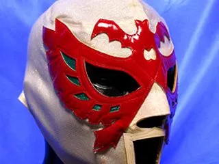 Wrestling MASK My co…