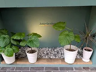 雨で元気になるのは植物！晴れて嬉しい休息…