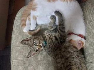 仲良くなった