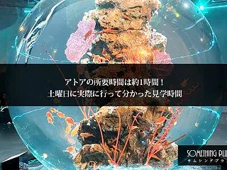 アトアの所要時間は約1時間！土曜日に実際…
