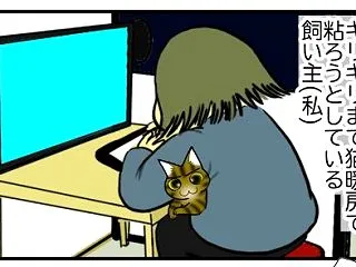 【猫との暮らし】猫暖房で行こう！
