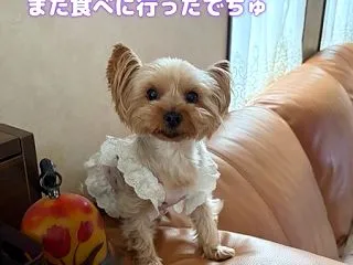 最後の最後♪
