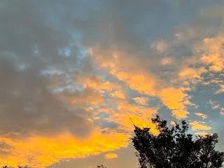 Muse（ミューズ）で動画生成