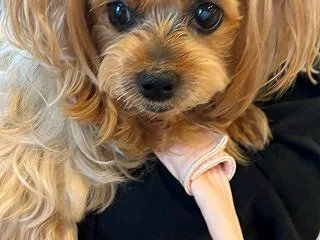 病院連続