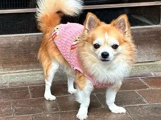 10月27日 入院生活 ゆっくり急げ