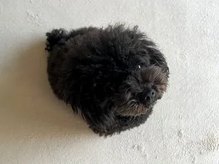 エリーたんの反応が違うw