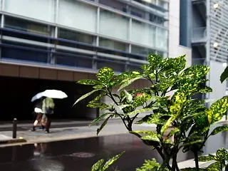 東京は都会だなあ