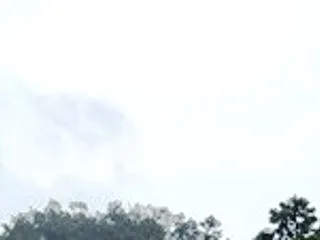 今日の万歩計
