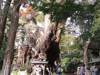 孤独死避けて【崇高な転生】へ♥人類救世主…