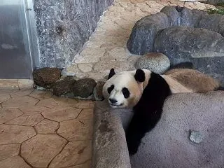 大切な人を亡くした遺族がミディアムシップ…