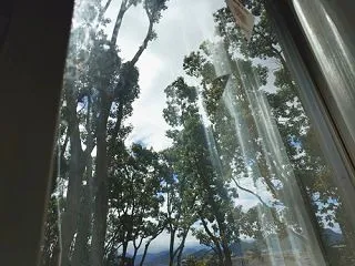 ◎ リハビリ病院へ