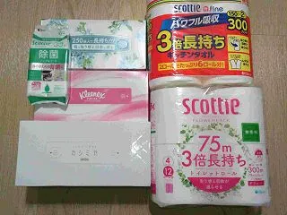 3863 日本製紙