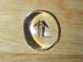 テイワズ・ティール