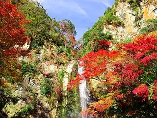 11月のスケジュール