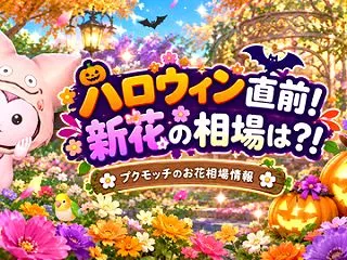 ハロウィン直前！新花の相場は？！ プクモ…