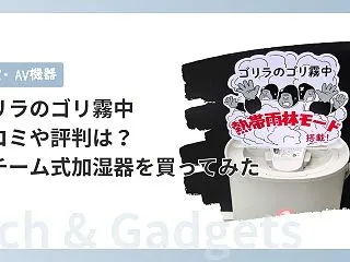 ゴリラのゴリ霧中の口コミや評判は？話題の…