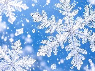 10月なのに初雪！青森はまさかの猛吹雪❄…