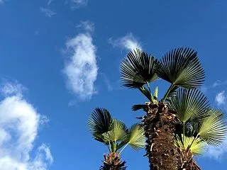 2026.10.27 酒と肴 あまりの寒…
