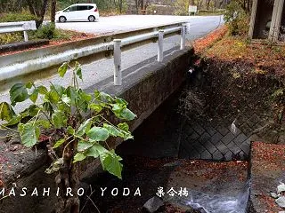 巣合橋（長野県天龍村）