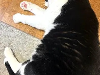すぐ怒る夫の加齢症状に寄り添う