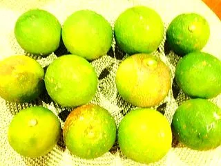 国東の食環境（483）カボス