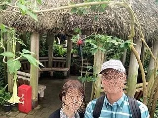 熱帯の家。