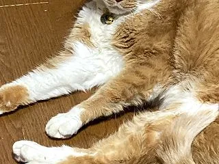 病院は、欠かせない