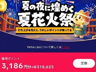 TikTokLite 8月分、9月分