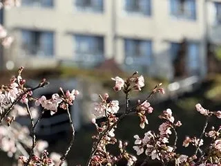 医師から告げられた言葉