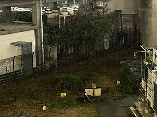 都会の中のほっこり