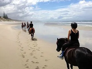 Wharariki Beach（ファカリ…