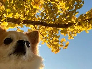 10月28日 入院生活 お金の事