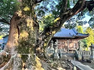 万葉の記憶と楠の大樹が包む「杉森八幡社」